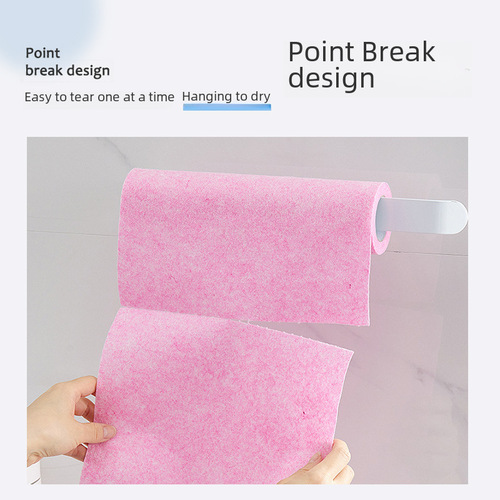 Coconut Shell Cleaning Cloth Household Grease Remover Dishwashing Towel Kitchen Absorbent Non-Falling Hair Dish Top Cleaning Cloth Lazy Person Cloth Wholesale