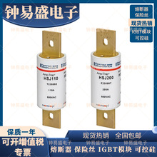 Ferraz�۶���AMP-TRAP HSJ175 HSJ200 HSJ225 600Vac ��������˿