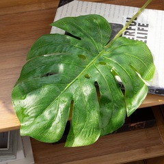 玫瑰花牆INS龜背葉短杆仿真花廠家家居裝飾手捧花假花DY1-3650-1