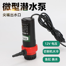 12v΢��ֱ��Сˮ��15���_�ۙCˮ��и�C��יC����������ˮ��