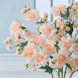 ���滨�ٻ�������ș�Ҿ��b� ���S�N�۴�������ș����c���Ô[�O