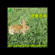 ��Ħ��������èβ����������������ڹ�ߵ�����ר����������