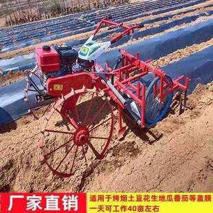 �¿��������Ÿ�Ĥ�C�r���Ĥ�C�t�����������ԄӇ�����Ĥ�ι��C