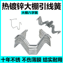 ���Ҵ���������۲��P䓰��ֻɉ�Ĥ���Ӵ֒��h�����ɷ��L�p�h