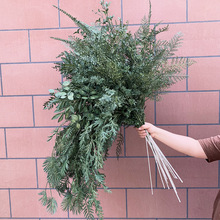 ��c���滨��Gɫϵ���} ��Y�õ�픻�c�b���Ʒ���滨�����ϻ�