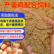 �S��ֱ�N���r�a���u����B�u�S������u���Z���ͨ���͸ߠI�B