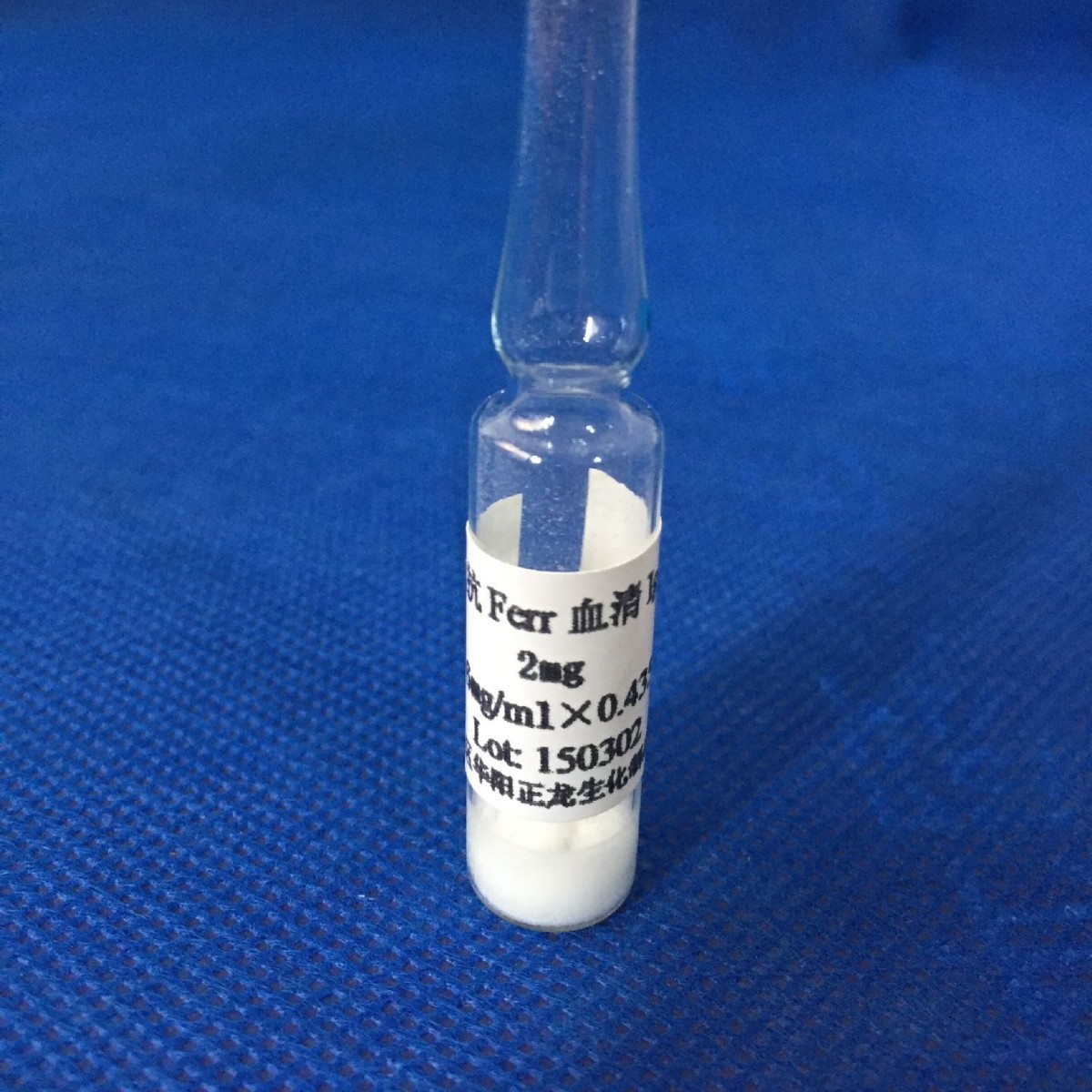 兔抗人铁蛋白（Ferritin）抗体