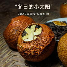 �V�|���Ƥ���ղ� 2025��|��Ȧ֦�����t�̌m͢���^���ն���