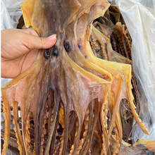 广西北海 本港本地淡干章鱼干货八爪鱼穿孔吊晒 鱼足干货产妇哺乳