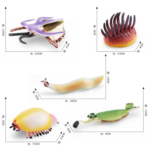Realistic marine life model