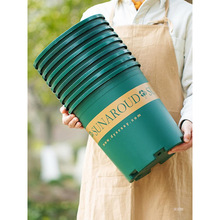 ������������ϼӺ��̨�辰����Ӂ���G�}���������¼���ݮ