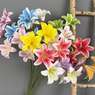 �羳3D��ӡ3�^�_�İٺϻ�c��Y�ò����b�������ˇ�쾰�ٺϻ�