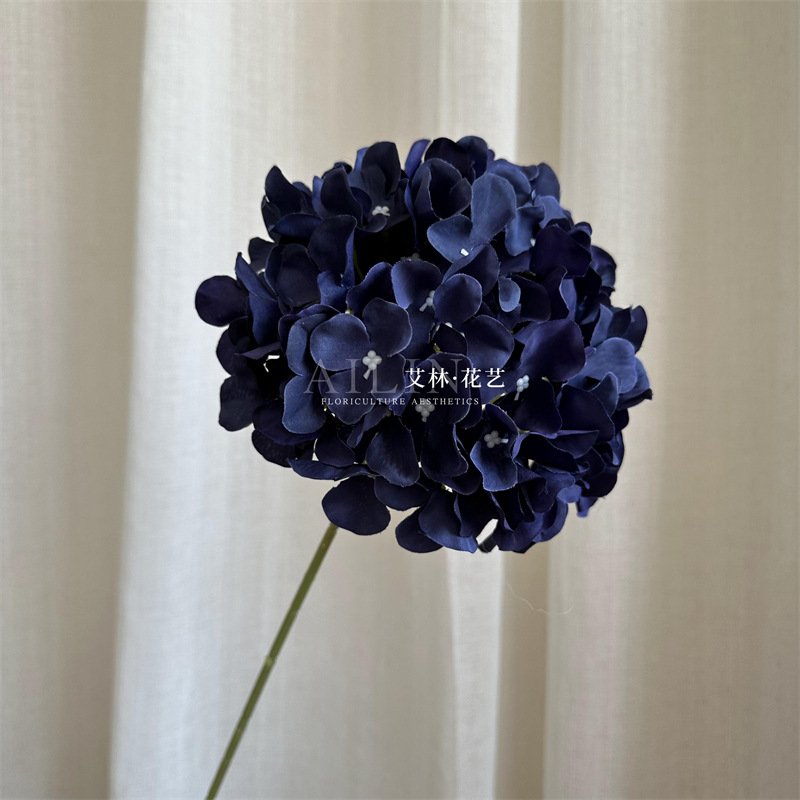 검정색 파란색