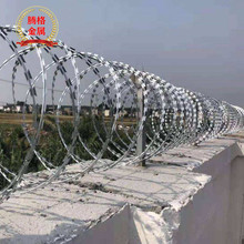 刀片刺繩防護熱鍍鋅監獄看守所隔離網不銹鋼刀片網邊境邊界護欄