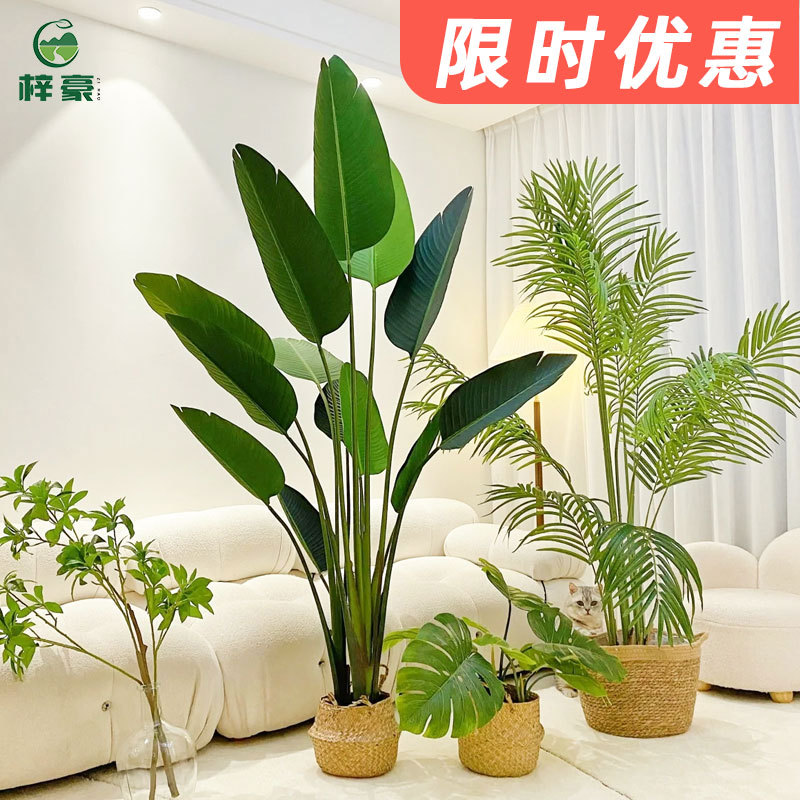 仿真綠植天堂鳥高端輕奢仿生花客廳大型室內盆栽擺件裝飾樹仿真樹
