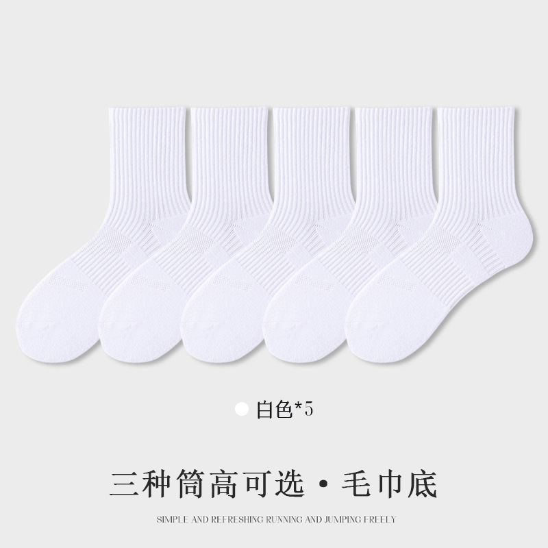 Tubo largo - 5 pares blancos (fondo de la toalla)