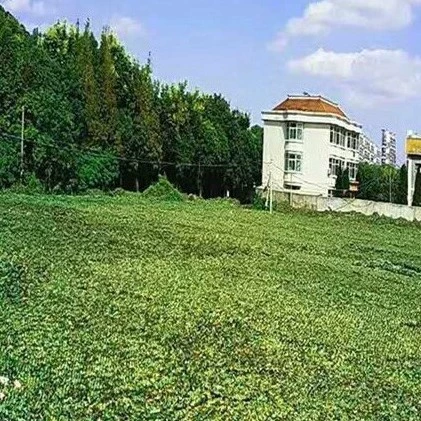 Оптовая продажа маскировочных сетей