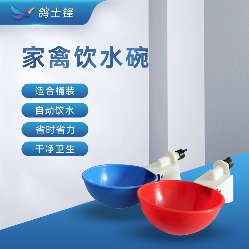 New type of chicken drink water bowl