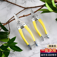 ����ժ����@��ʡ����֦�������@������ˇ�����@�ֹ��ߏS�����l