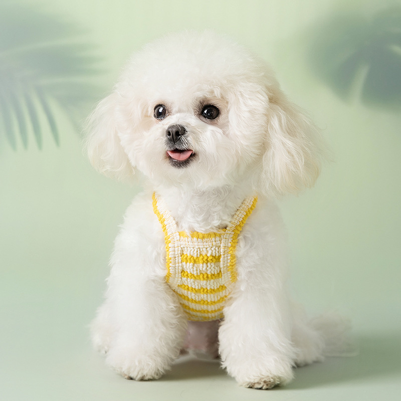 Perro primavera verano delgado transpirable peluche bichón sándwich galleta a rayas gato pequeño perro ropa para mascotas