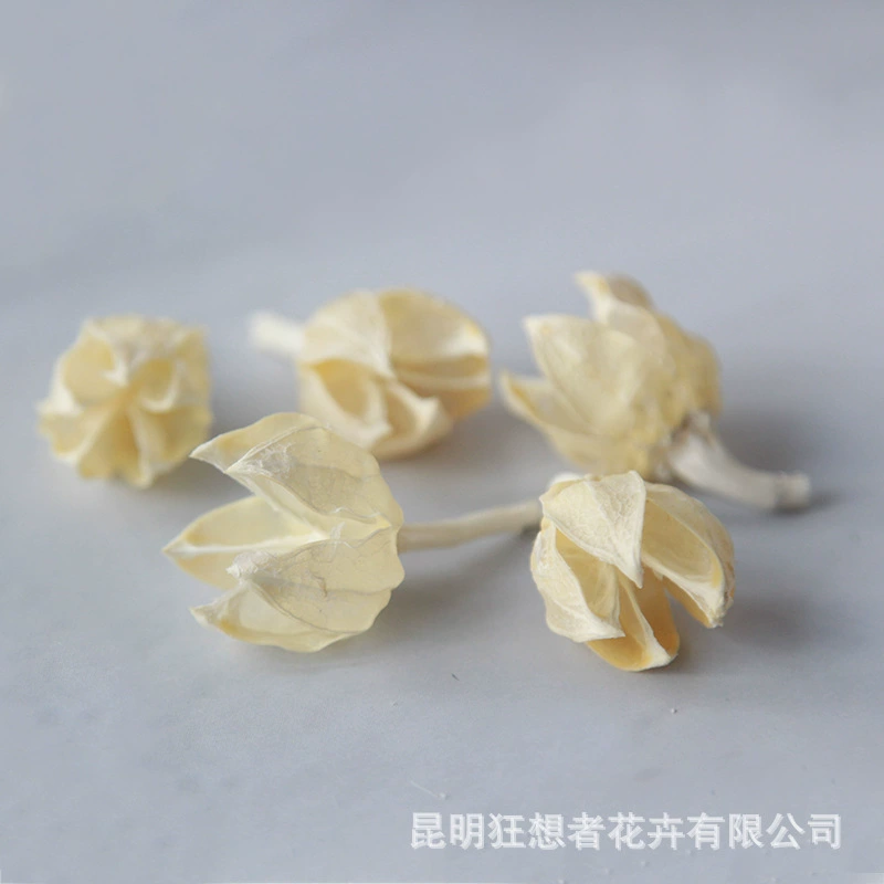 Dry Flower DIY Materials [Dry Fruit] Madman Sommelier Candle Plant Simagon Handmade Class Dry Flower Dry Branches Material