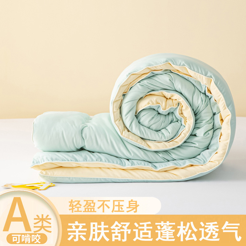 Class a Cloud-Like Soft Soybean Fiber Quilt Core, Thickened and Warm Winter Quilt, Cotton Quilt for Dormitory Students, Suitable for All Seasons