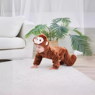 ���Q��m�q�������͋냺�B�w��  ���׃��·��������������Sֱ�N