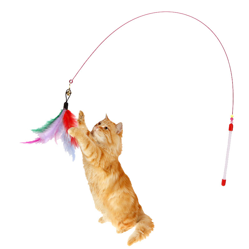 猫のおもちゃは猫の棒の長いワイヤーをからかって、猫の羽を折って猫の棒に鈴をつけて猫のペットのおもちゃを訓練します。|undefined