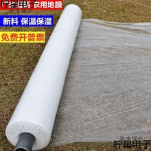 䁵ĤɫN׵سĤĤĤ.׌Ĥm̫