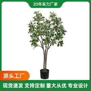 ľ�ޘ����Ը߼��������U��߅�Gֲ�쾰�͏d�Շ�������b[���٘�
