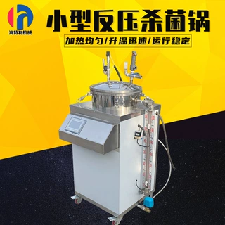 小型反压高温高压杀菌锅罐头咸鸭蛋熟食杀菌设备定制实验室灭菌锅
