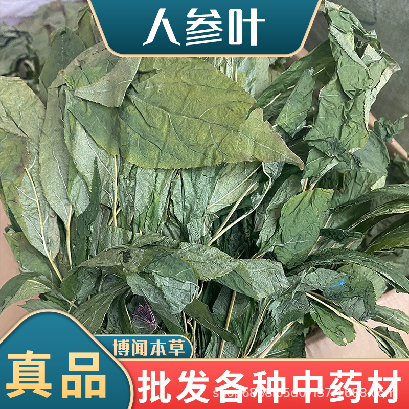 批发人参叶中药材散装长白山人参叶茶原料干人参叶粉原料