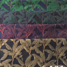 SҼи~Ứɫ͹СŮbЬ