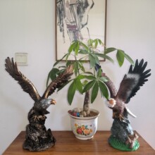 ���Wʽ��չ��D�����͹Ŕ[��؈�^���k�������湤ˇƷ�[���_�I�YƷ