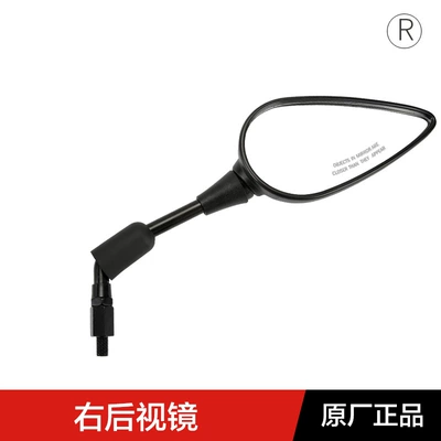Original Qianjiang Motorcycle Chase 350 Motorcycle rearview mirror - right-rearview-mirror-original-genuine-product
