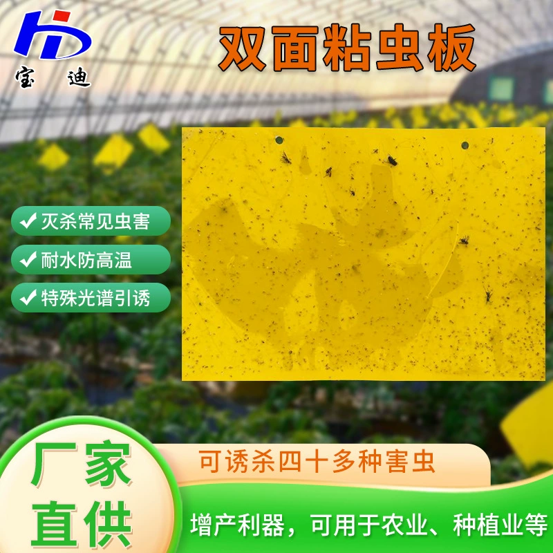 Оптовые липкие ловушки для насекомых для теплиц, двусторонние желтые доски для ловли летающих насекомых, синие доски для белокрылки, ловушки для насекомых в саду и чайном саду.