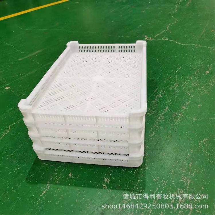 批发食品周转箱 集成箱 单冻盘 冷库存储塑料箱 烘烤盘