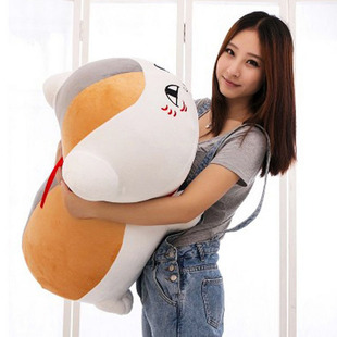 ؈���ώ�ë�q������ż��Ŀ���ˎ�U��������չ��߅���u���X����