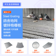 定制鸽舍地网镀锌钢格板平台格栅板赛鸽养殖公棚格栅热镀锌钢格栅