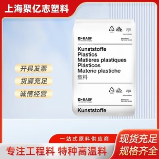 Pbt Basf German B 4300 G6 High Hardness Flexibility High Flow Applications Automotive Applications