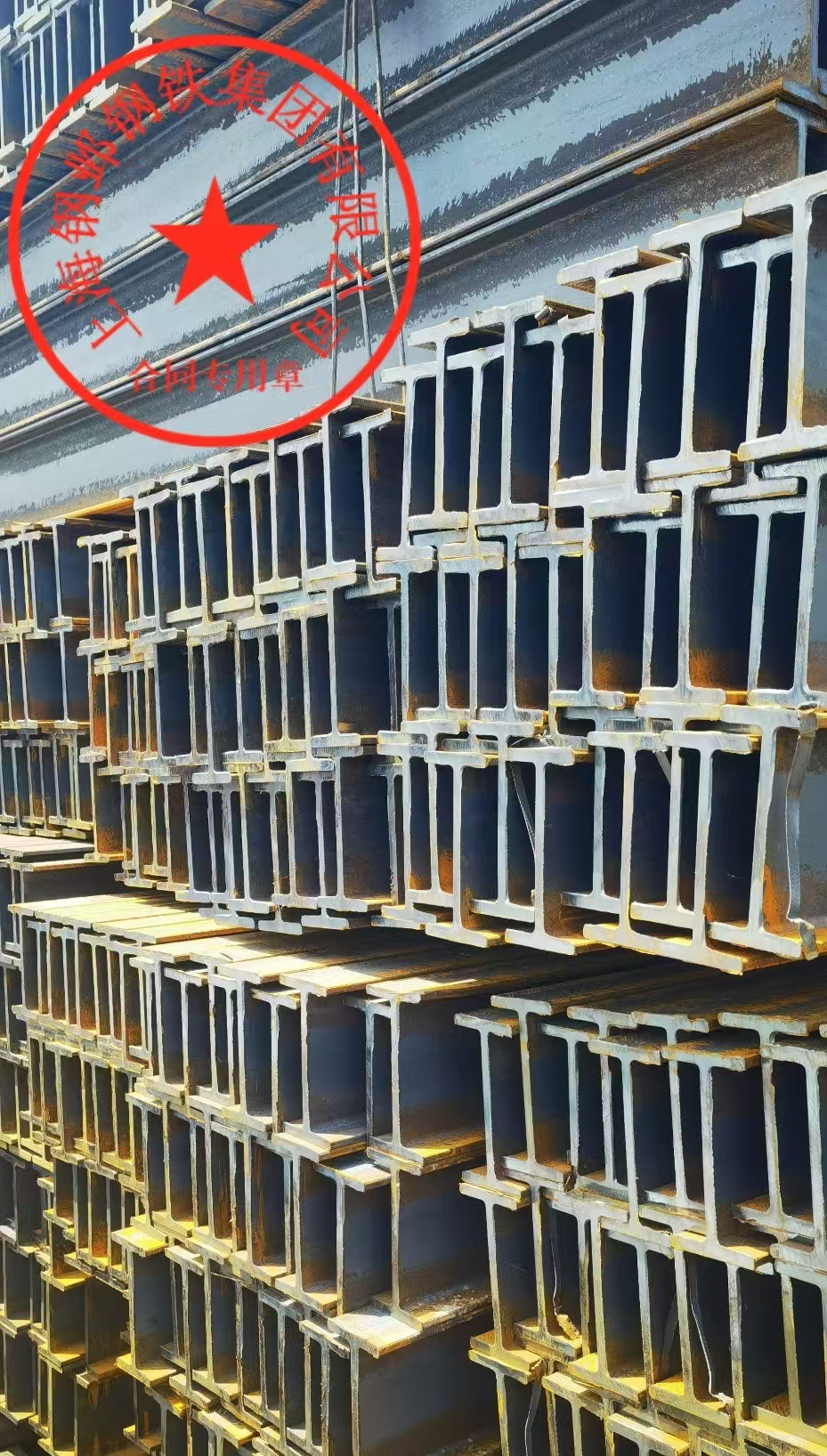 54d0ed85ac892a8e6683a9f7743728