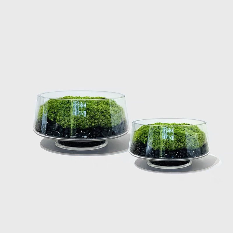 Новый китайский стиль, вечный мох, бонсай, украшения, обеденный стол, стол для переговоров, журнальный столик, украшение для рабочего стола, цветы и зеленые растения