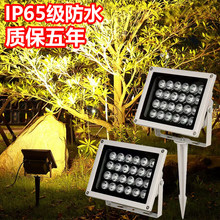 ledͶ��������ˮ����߲��՘�����Ͷ��������ƺ���^ͥԺ��