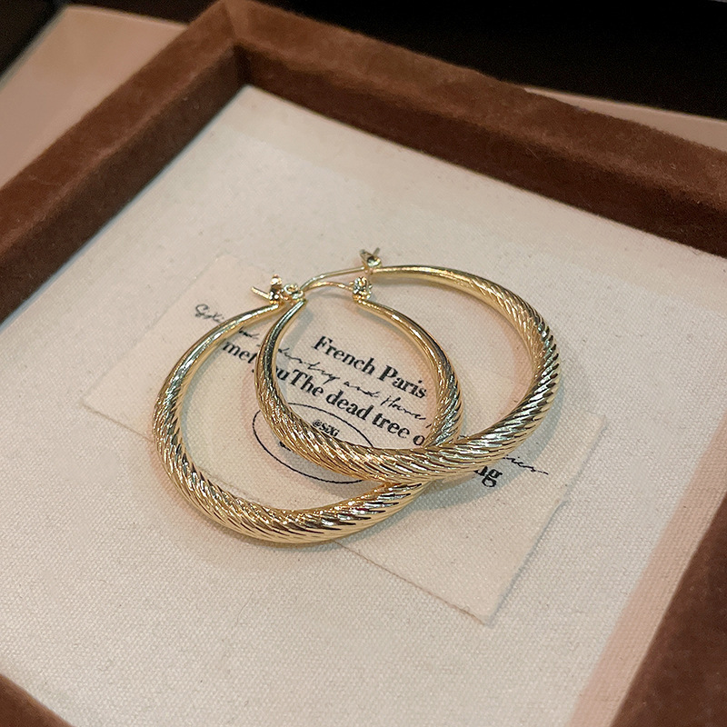 Corea del Sur nicho elegante pendientes de alto grado elegante cara adelgazamiento pendientes al por mayor Aguja de plata círculo de metal pendientes de anillo liso