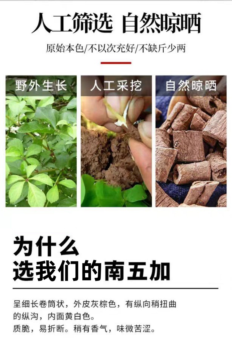 Nan Wu Jia Pi (Acanthopanax gracilistylus) — Dried Root Slices for Herbal Infusions & Wine Soaks key features