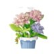 Compatible with Lego bricks flowers fleshy tiny particles potted flowers assembled toys girl gift building blocks wholesale