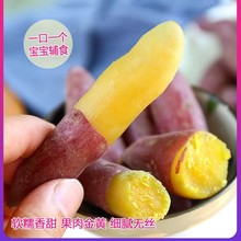 �����r�ҷNֲ��ĿС�������r���������t���ع�ܛŴ����ָСĴָ��