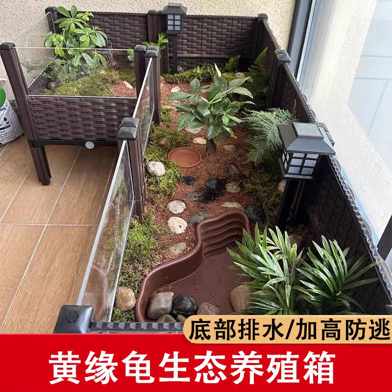 黄縁亀飼育箱、安源台縁閉甲亀苗、造園植物生態環境、亀専用槽飼育箱|undefined