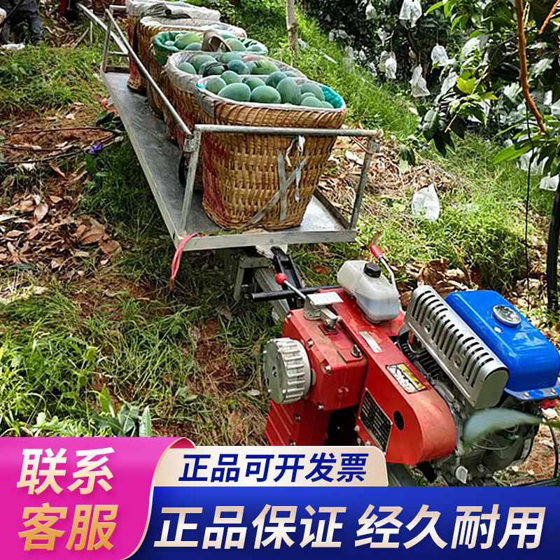Mountain Orchard monorail truck agricultural greenhouse crop cargo loading and unloading electric small rail truck