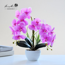 14头手感蝴蝶兰盆景仿真花高档摆件室内装饰仿真盆栽厂家直供创意